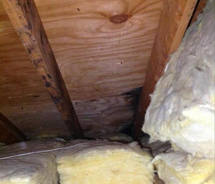 Attic space with affected insulation. 