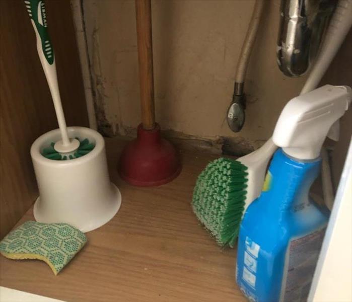 Mold under sink