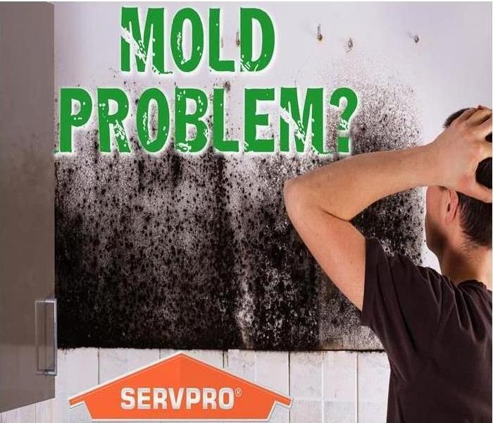 Mold Remediation