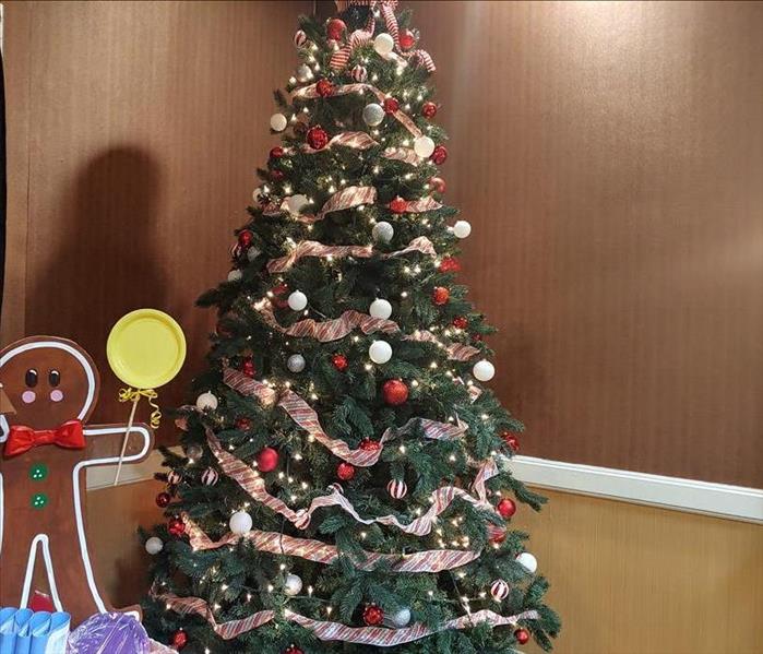 Picture of Christmas Tree